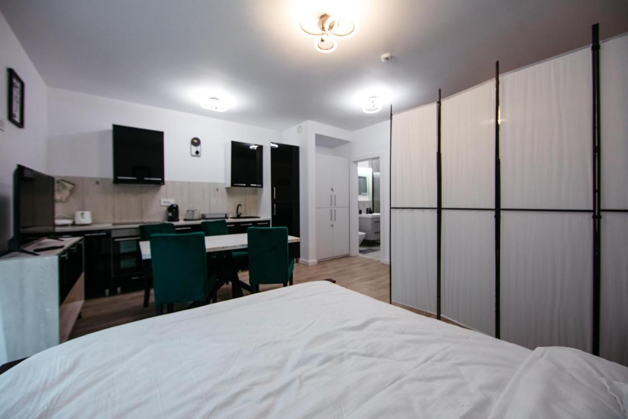 L&V Family Studio Apartment Sinaia Bagian luar foto