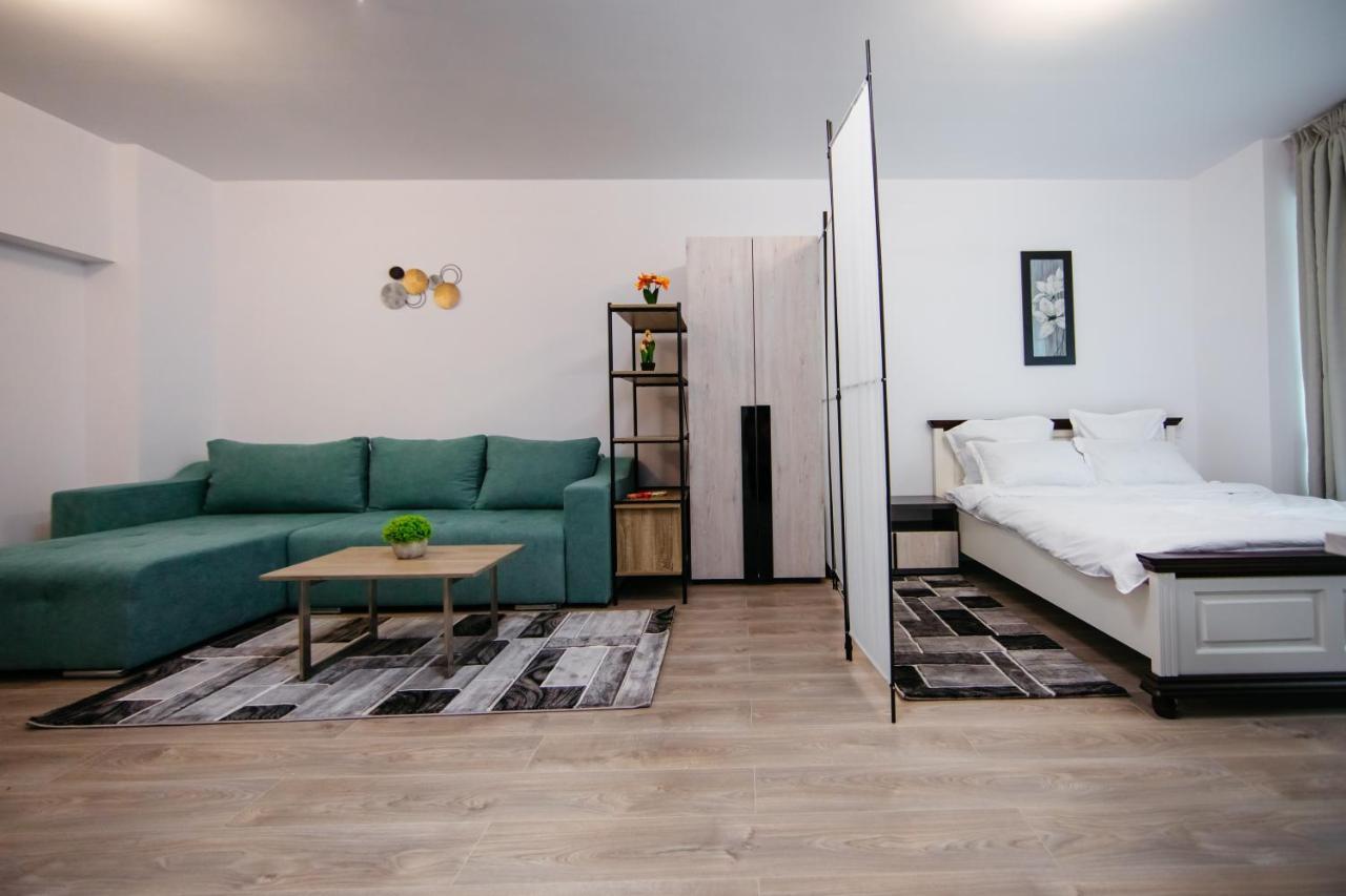 L&V Family Studio Apartment Sinaia Bagian luar foto