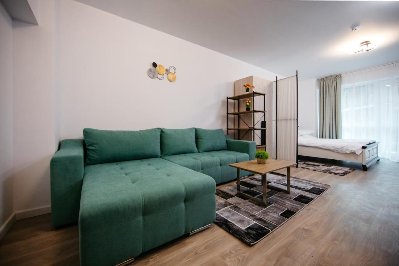 L&V Family Studio Apartment Sinaia Bagian luar foto
