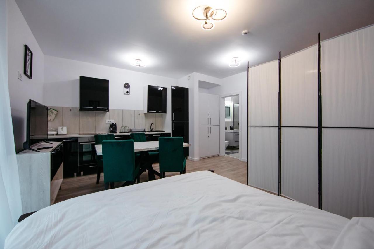 L&V Family Studio Apartment Sinaia Bagian luar foto