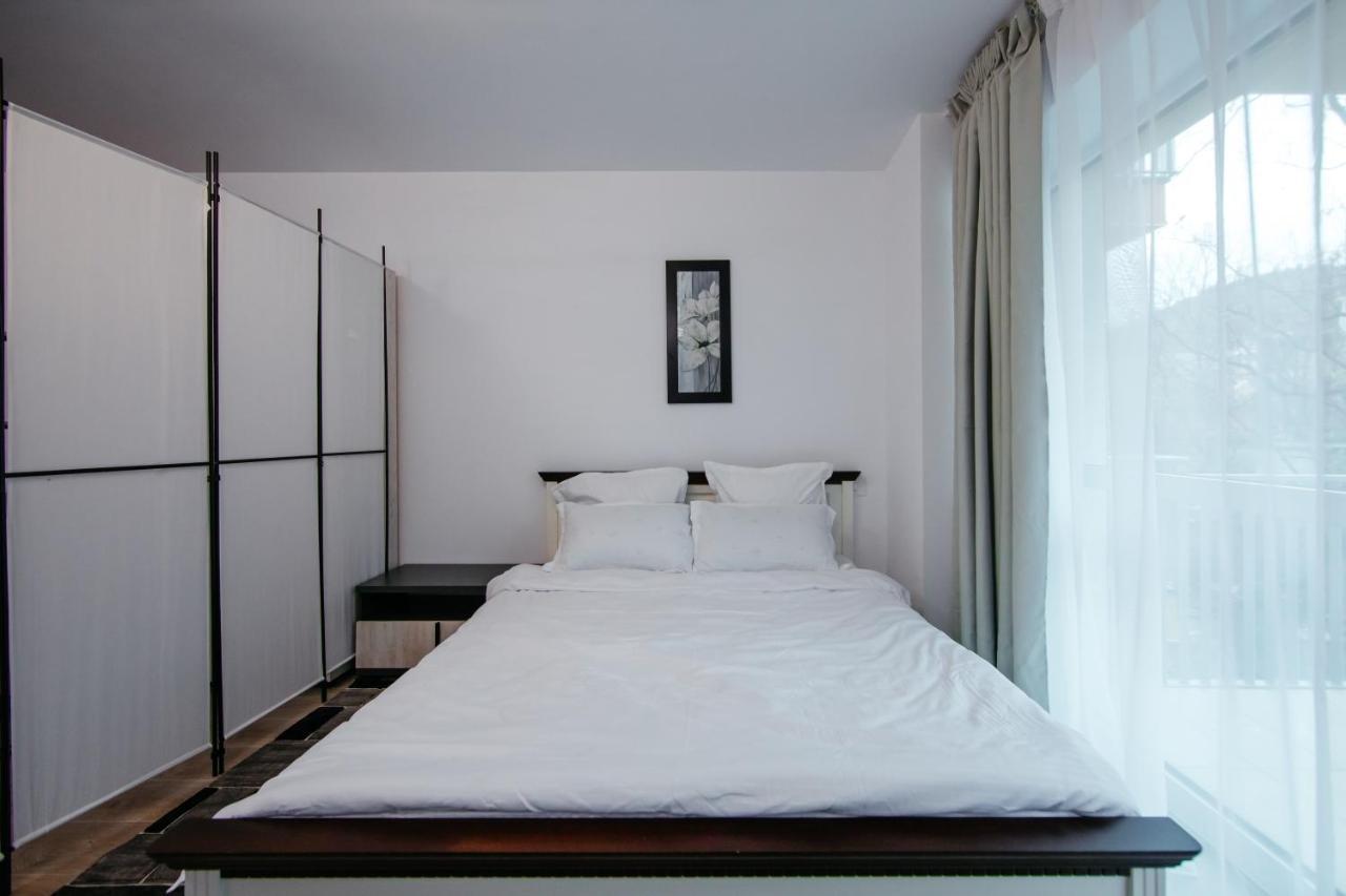 L&V Family Studio Apartment Sinaia Bagian luar foto