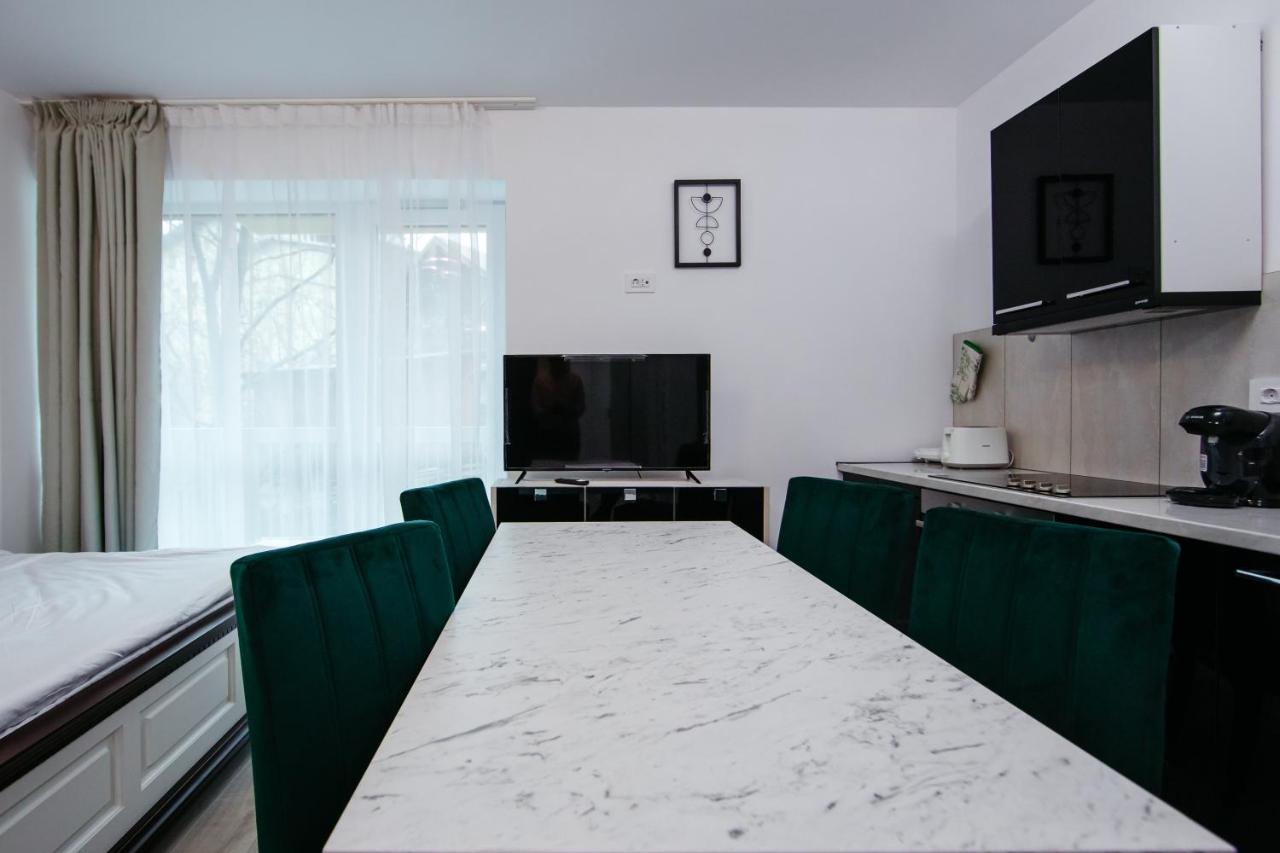 L&V Family Studio Apartment Sinaia Bagian luar foto