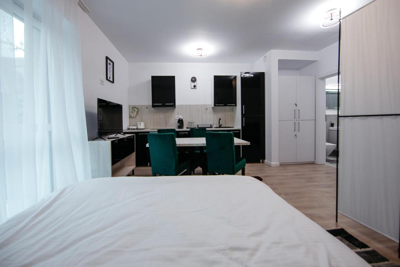 L&V Family Studio Apartment Sinaia Bagian luar foto