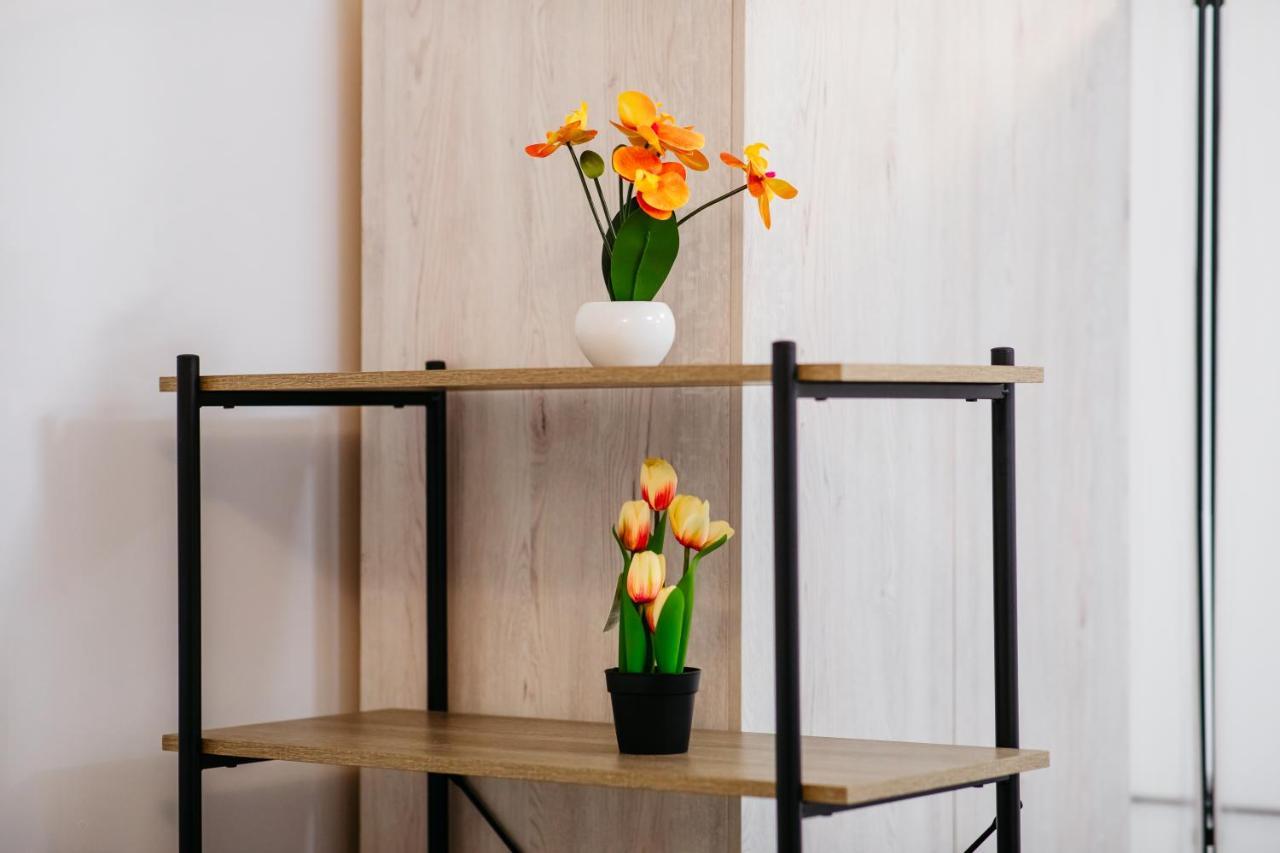 L&V Family Studio Apartment Sinaia Bagian luar foto