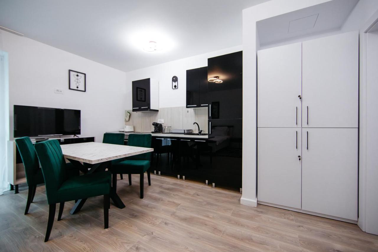 L&V Family Studio Apartment Sinaia Bagian luar foto